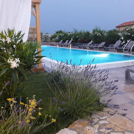Nest * Privlaka (Zadar)