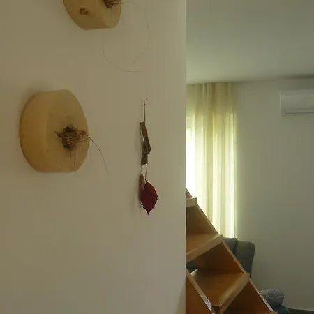 My Nest 프리블라카